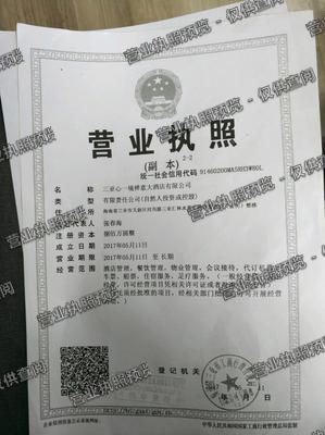 三亚心一境禅意大酒店有限公司